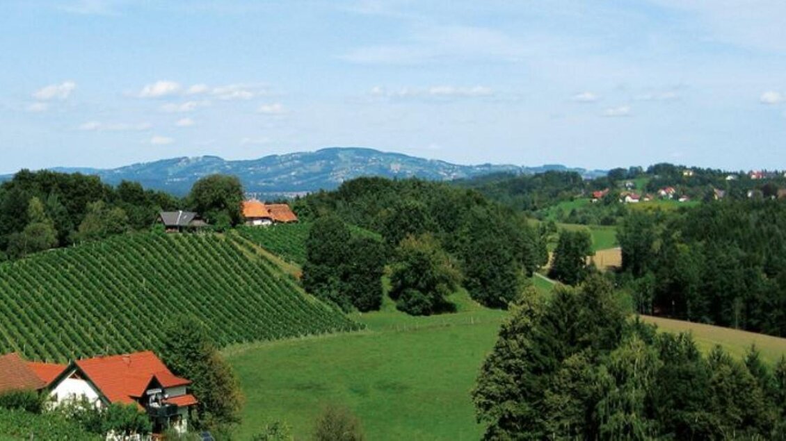 Ausblick | © Steinböcklhof
