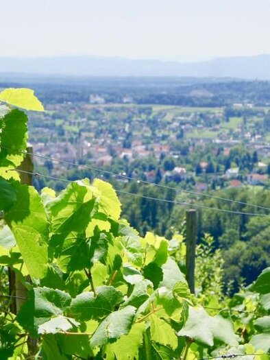 Weingut Mally | © Weingut Fam. Mally