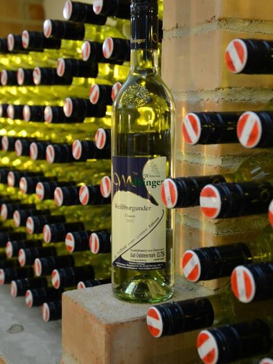 Weinbau & Rebschule Melbinger | © Weinbau & Rebschule Melbinger