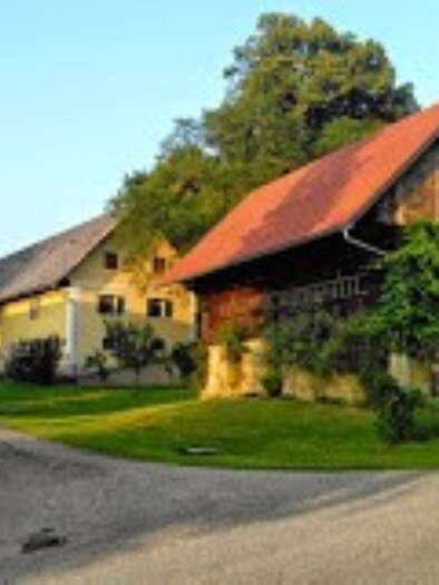 Weinbau Silly vulgo Schwoager | © Weinbau Silly vulgo Schwoager