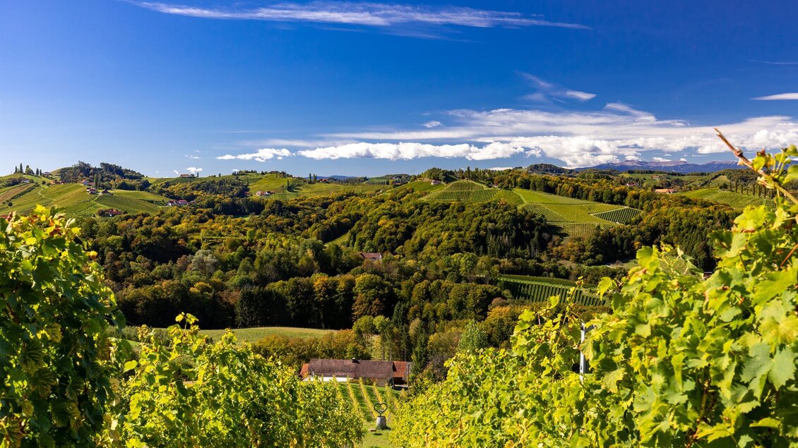 Herbst Gamlitz | © Harry Schiffer