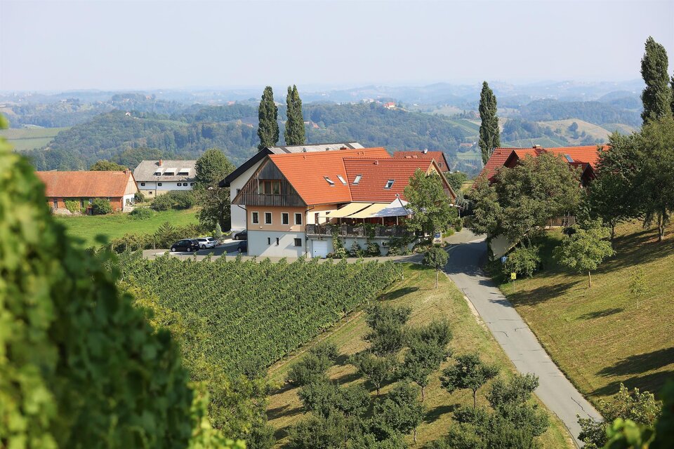 Weingut Dreisiebner Stammhaus - Impression #1 | © Dreisiebner Stammhaus