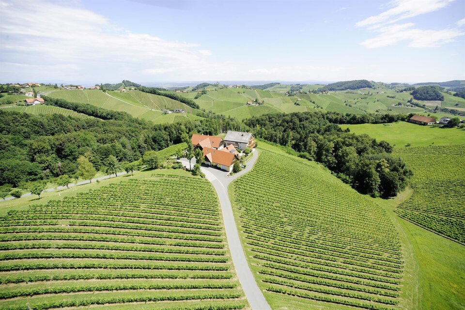 Buschenschank Dreisiebner Stammhaus - Impression #1 | © Dreisiebner