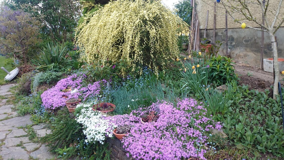Frühling | © Fam. Deutschmann