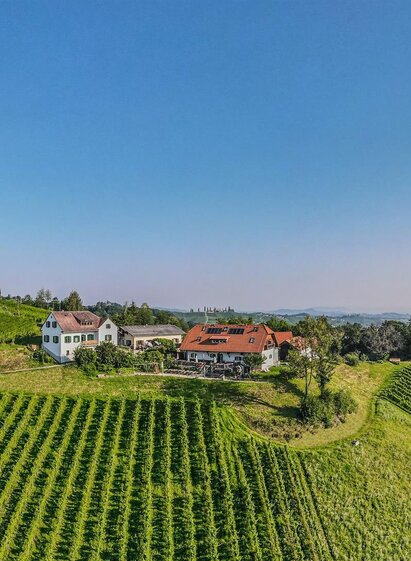 Weingut Hack-Gebell Weingarten | © Hack Gebell