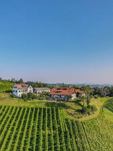 Weingut Hack-Gebell Weingarten | © Hack Gebell