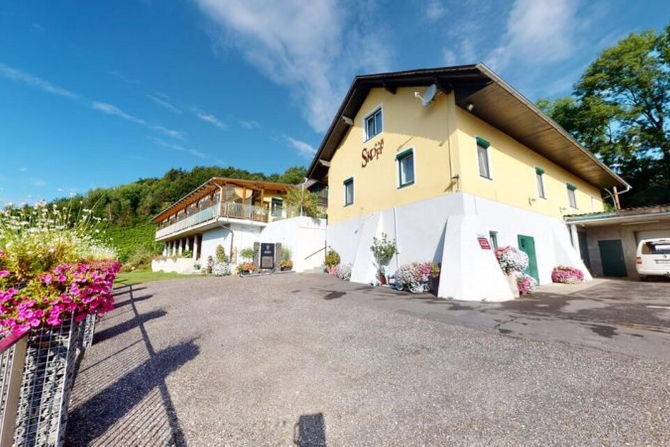 Weingut Heike Skoff - Impression #1 | © Skoff Heike Weingut