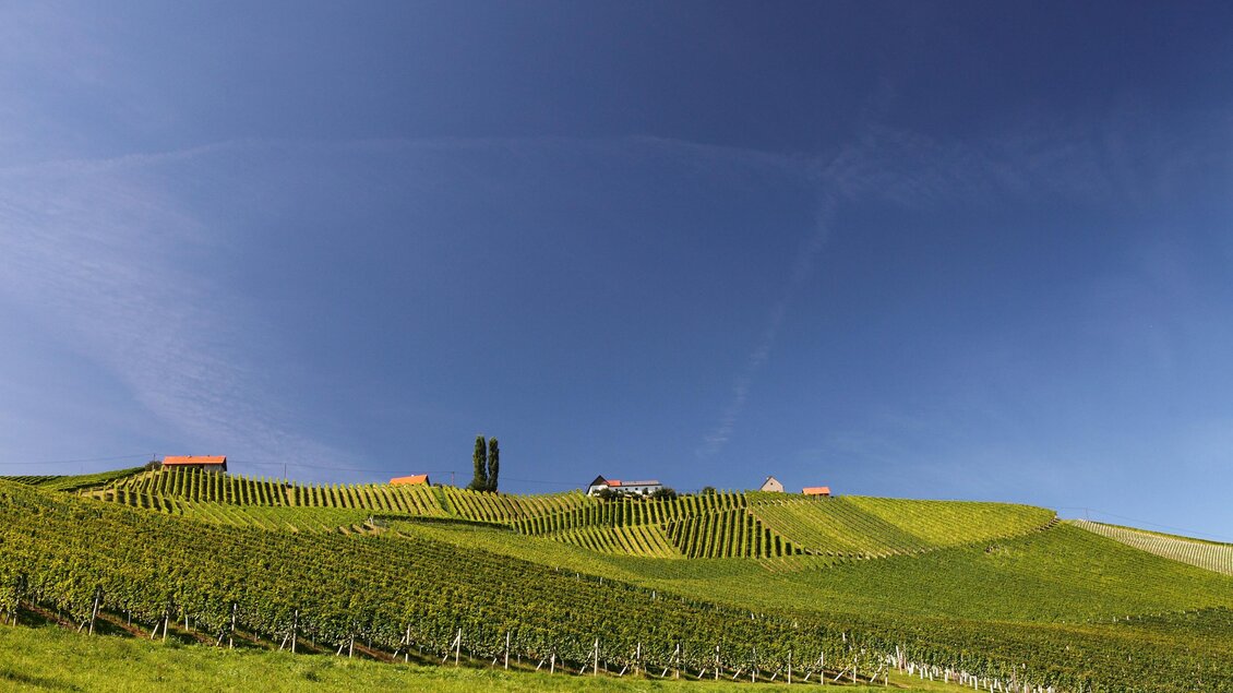 Gamlitzberg | © TV Gamlitz Edi Aldrian