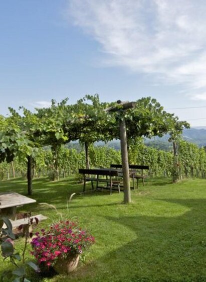 Buschenschank Trunk_1 | © Trunk