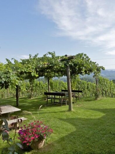 Buschenschank Trunk_1 | © Trunk