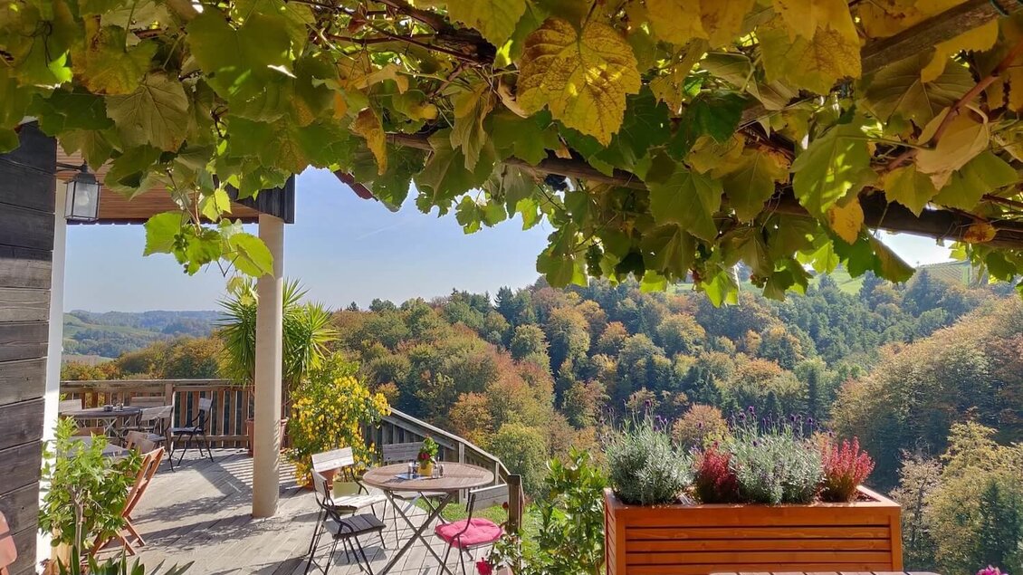 Liebmann7 | © Liebmann