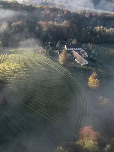 Weingut Melcher Sernauberg_1 | © Weingut Melcher