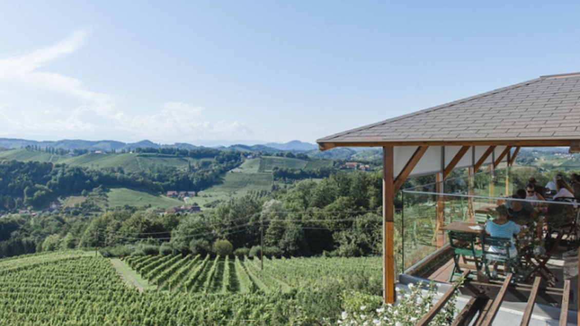 Weingut Nekrep Weingarten | © Nekrep