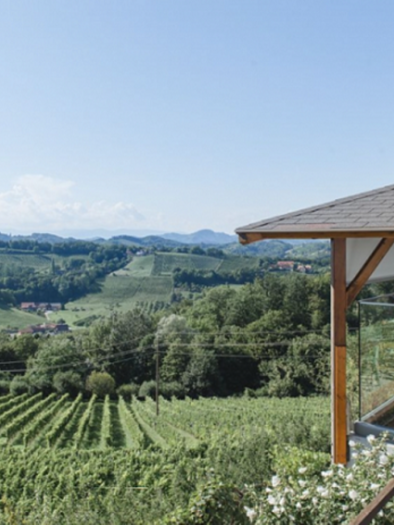 Weingut Nekrep Weingarten | © Nekrep