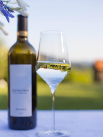 Sattlerhof1 | © Sattlerhof | © Sattlerhof