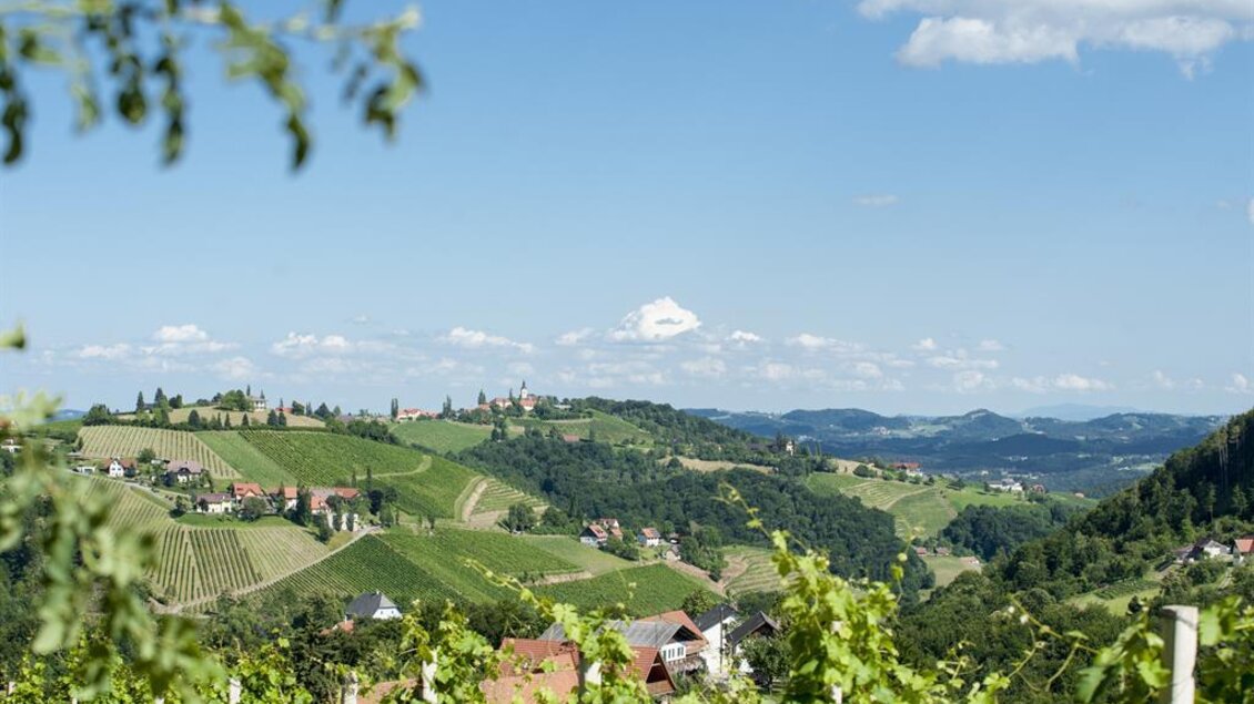 Lage mittem im Weinberg | © Karin Bergmann