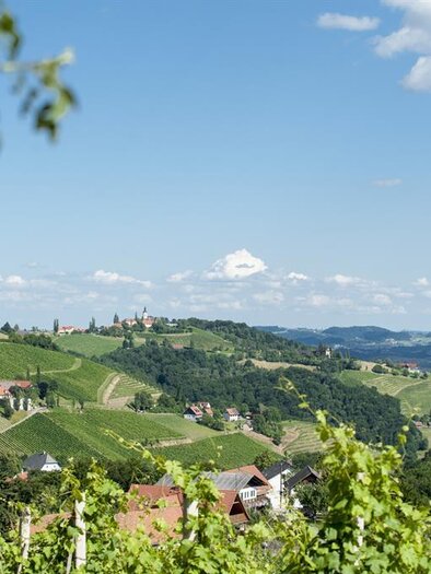 Lage mittem im Weinberg | © Karin Bergmann
