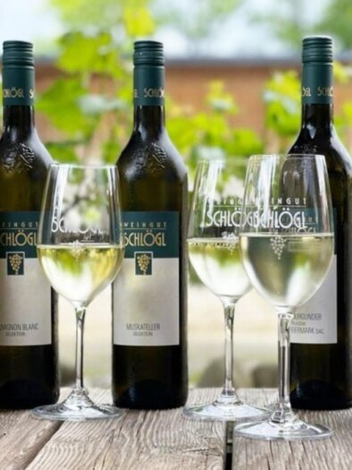 Weingut Schlögl | © Weingut-Schloegl.at