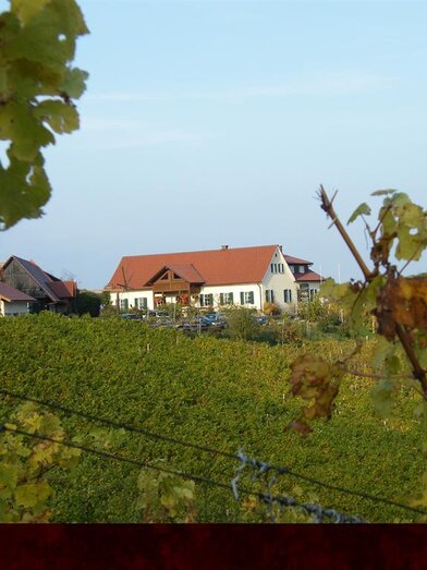 Weingut Stromeier Trobi | © Weingut Strohmeier Trobi | © Weingut Strohmeier Trobi