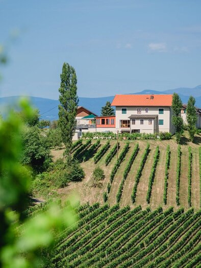 Weingut Tinnauer | © Tinnauer