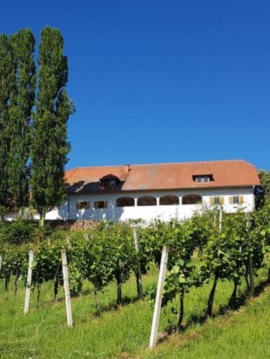 Lindenburg | © Weingut Lindenburg | Gertraud Stelzl