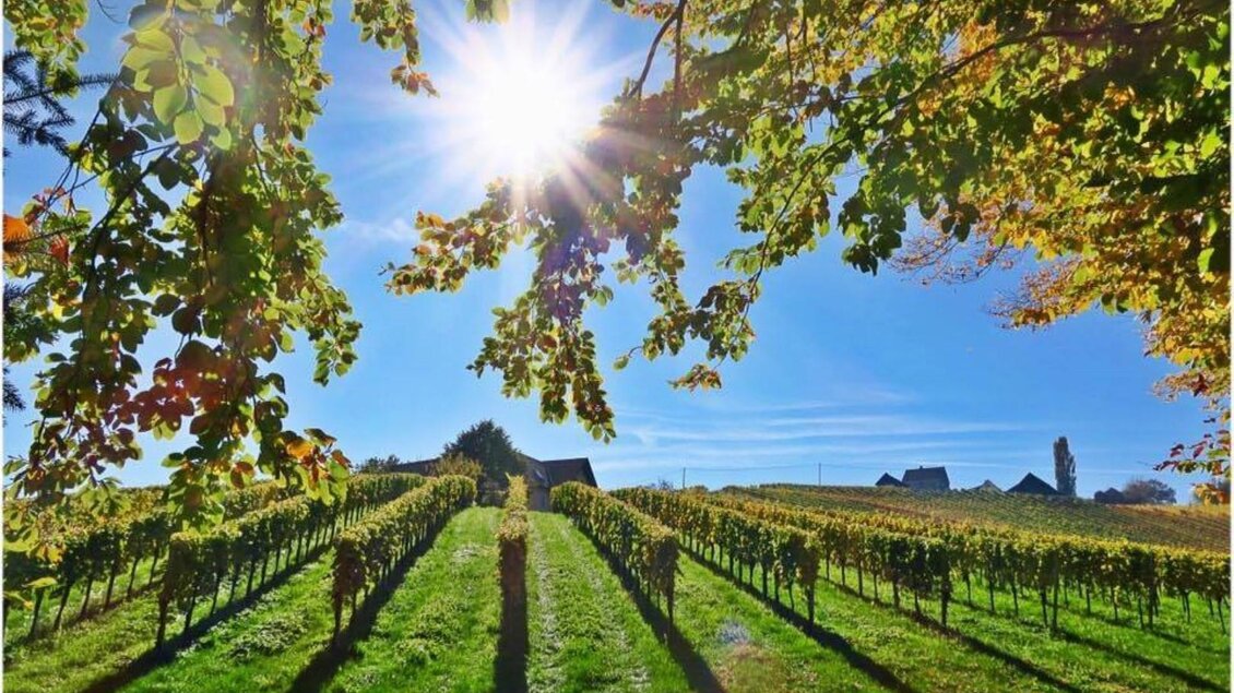 Riegelnegg | © Riegelnegg Stammhaus