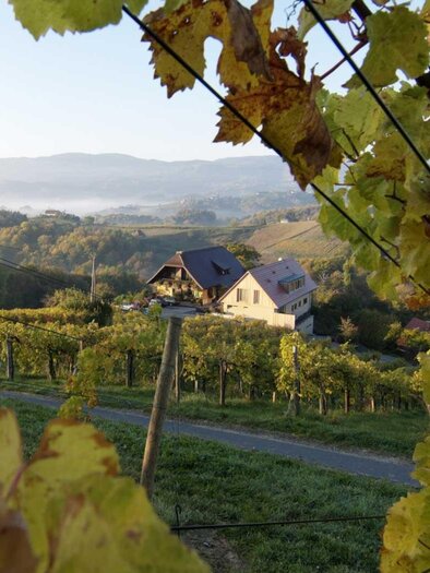 Weinidylle Dreisiebner_ | © Weinidylle Dreisiebner