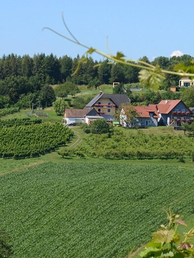 Weinkulinarium | © Tscheppe-Kapun