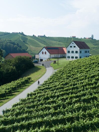 Weinschmiede Weingarten Weinland | © Weinschmiede Strauss