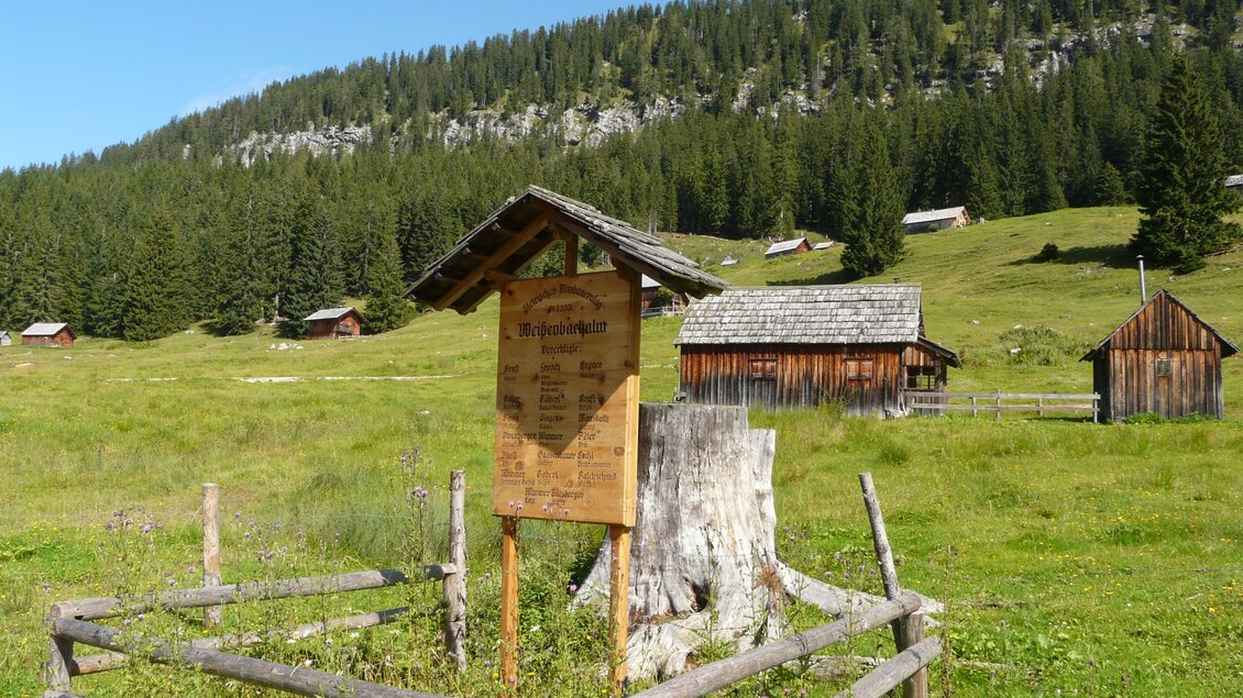 Weißenbachalm, Bad Aussee | © TVB Ausseerland - Salzkammergut/H. Rastl