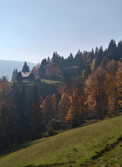 Zirma-Alm | © Zirma-Alm