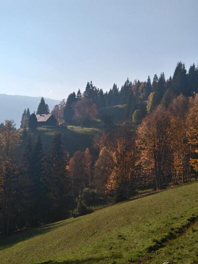 Zirma-Alm | © Zirma-Alm