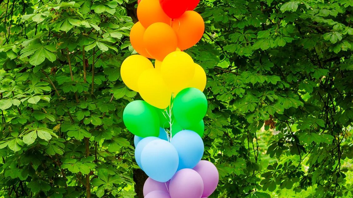 Bunte Luftballons in Regenbogenfarben hängen über einem grünen Hintergrund. Die Szene strahlt Freude und Feierlichkeit aus. | © @Christian Buchbauer