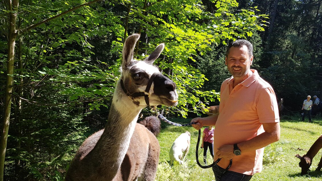 Frühlingswanderung mit dem Lama Bruno in Hirschegg-Pack | © Lama Tour auf der Alm-Orso-Gigleitner