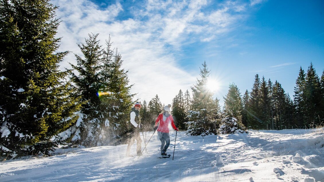 Zwei Menschen wandern durch eine verschneite Landschaft mit Kiefern. Der Himmel ist blau und die Sonne scheint. | © Region Graz-Mias Photoart