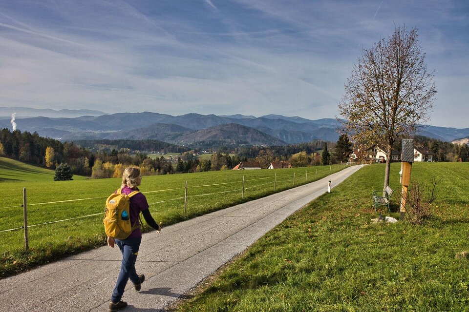 Frau wandert auf Asphaltweg mit Blick auf Hügel und Dörfer bei Gratwein. | © WEGES