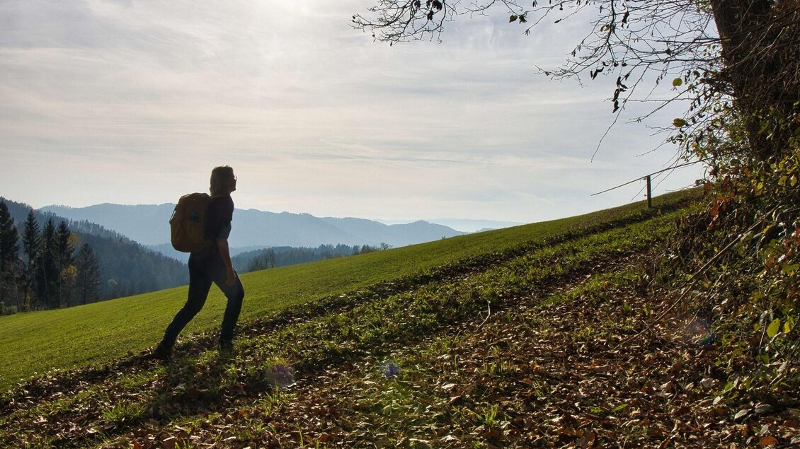 Frau wandert bergauf über Wiesenpfad mit Blick auf die Hügel bei Gratwein. | © WEGES