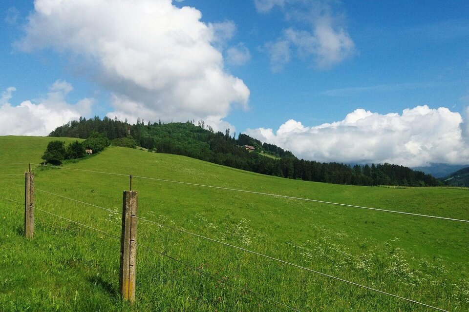 Grünes Almgebiet mit Blick auf bewaldete Hügel bei Graden in der Weststeiermark. | © Erlebnisregion Graz-Heinz Kaltschmidt