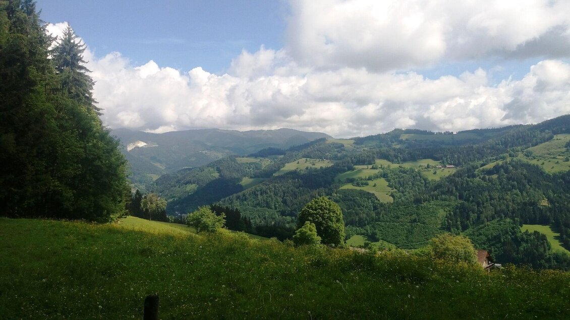 Blick über grüne Waldhügel und Wiesenlandschaft nahe Graden in der Weststeiermark. | © Region Graz-Heinz Kaltschmidt