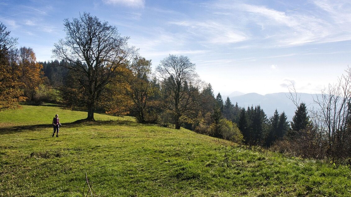 Frau wandert über Wiese mit herbstlichen Bäumen und Blick auf bewaldete Hügel. | © WEGES