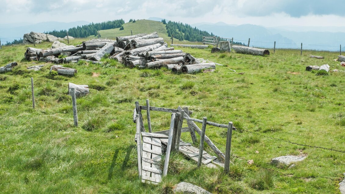 <p>Holzüberstieg auf Almwiese mit alten Baumstämmen, Blick über die Hochalpe.</p> | © Janine Wenzel