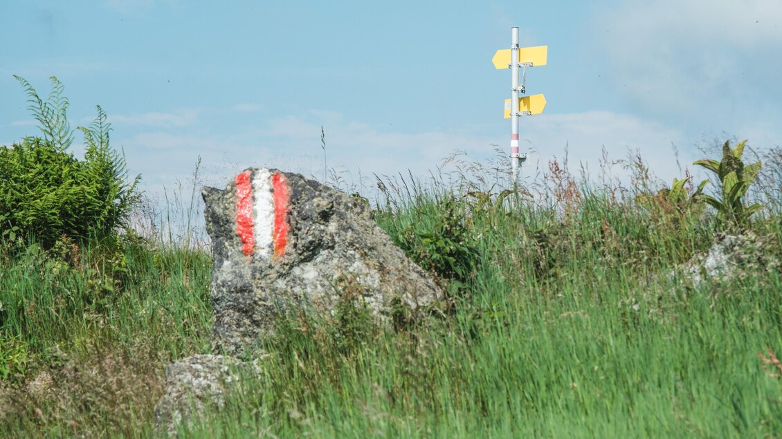 Fels mit rot-weiß-roter Wanderwegmarkierung und gelben Wegweisern im Almgras. | © Janine Wenzel