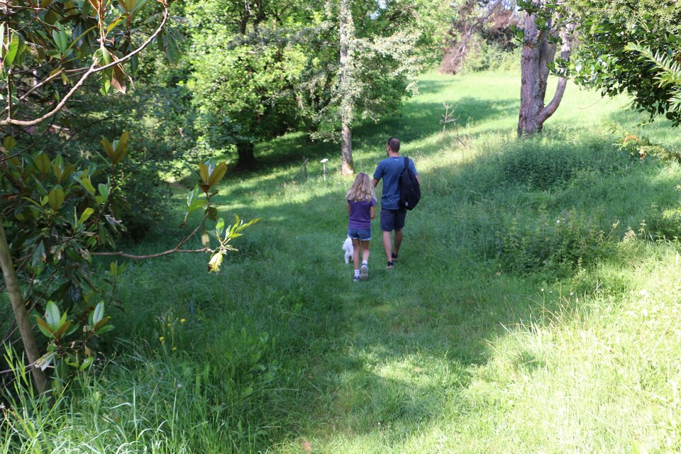 Vater mit Kind und Hund auf Wiesenweg im Kaiserwald bei Premstätten. | © WEGES