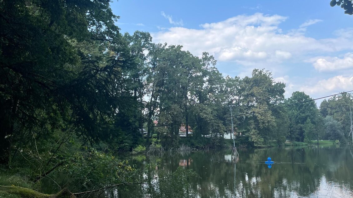 Blick über den Klingerteich mit Wald und Seilaufhängung bei Premstätten. | © Lena Hillebrand