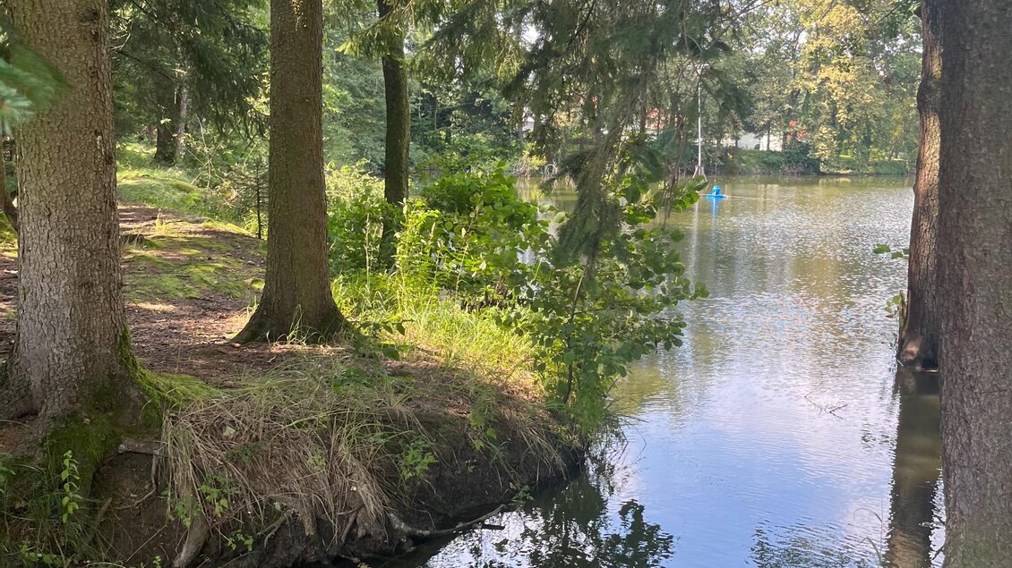 Waldpfad am bewaldeten Ufer des Klingerteichs in Premstätten, Blick aufs Wasser. | © Lena Hillebrand