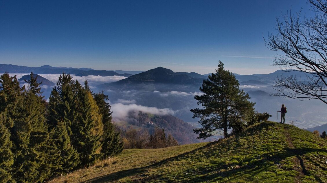 Wanderer steht am Haneggkogel mit Blick über das Murtal, umgeben von Nadelwald und Nebelmeer. | © WEGES