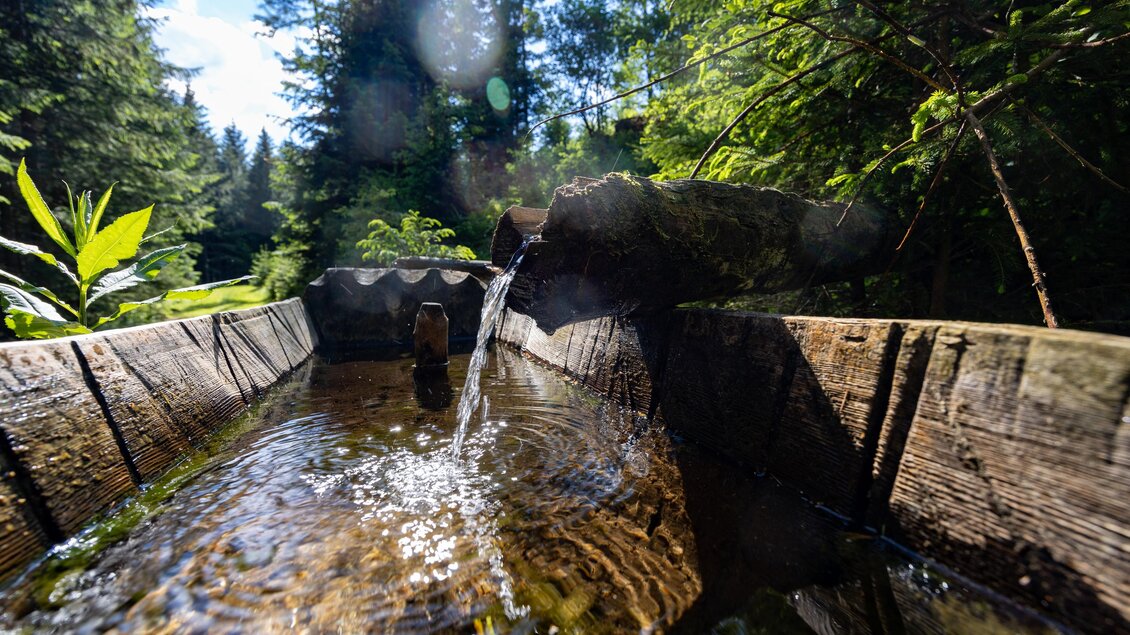 Frisches Quellwasser fließt in einen Holztrog am Waldweg Modriach–Aiblwirt. | © Region Graz-Harry Schiffer