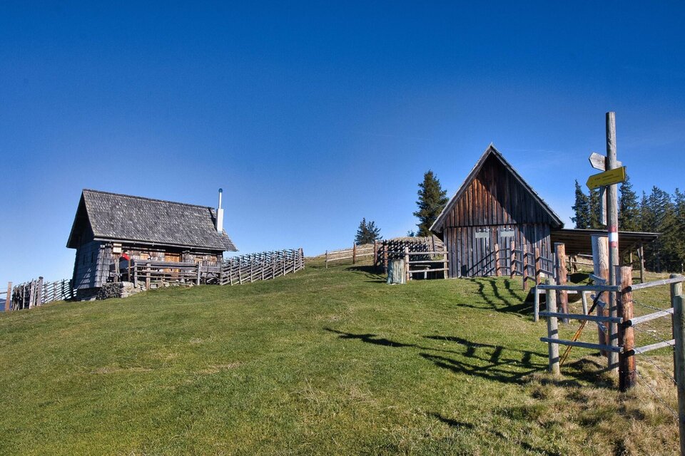 Zwei traditionelle Almhütten auf der Gmoaalm bei Übelbach, umgeben von Weidezäunen und grüner Wiese. | © WEGES