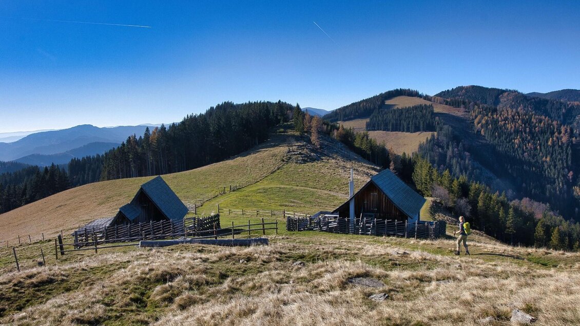 Wanderer auf Almwiese vor zwei Hütten der Gmoaalm mit Blick auf die Hügel der Steiermark. | © WEGES