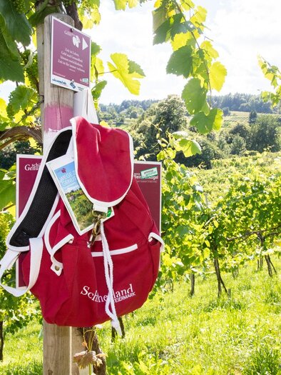 A red backpack hangs on a post in a vineyard. The sunny landscape is surrounded by green vines and shows an inviting atmosphere. | © cdm - Foto Augenblick